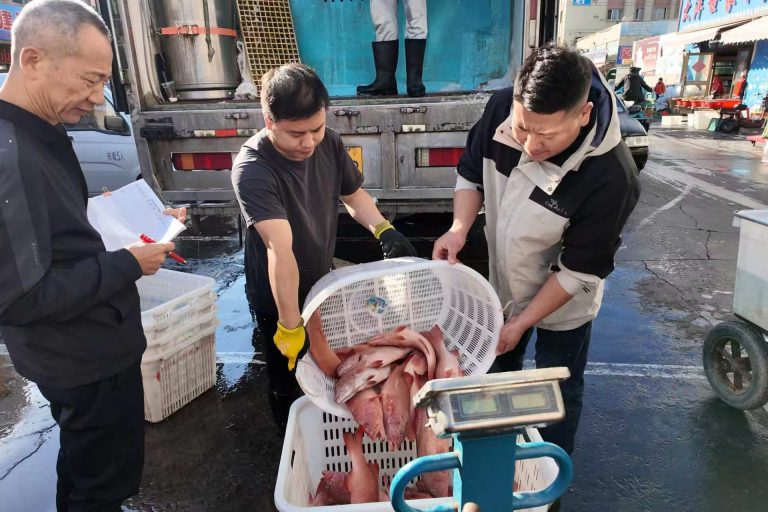 首页插图7